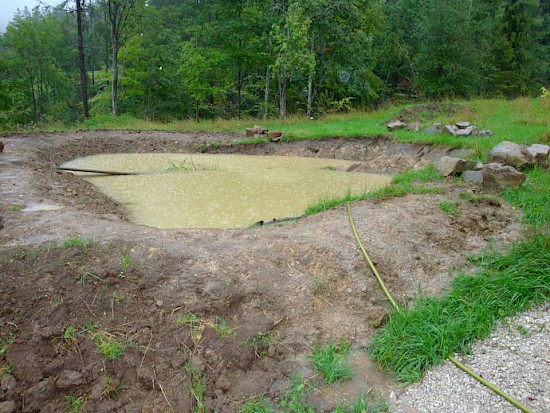 Experiment Teich