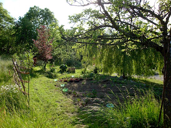 Grosser Garten