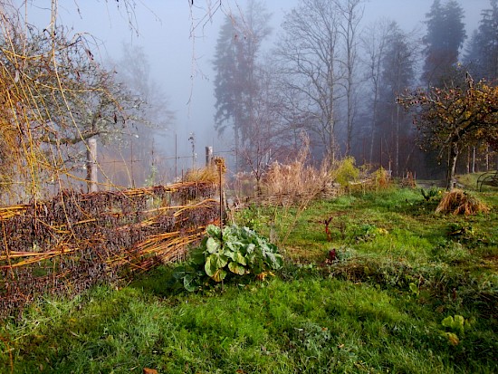 Grosser Garten