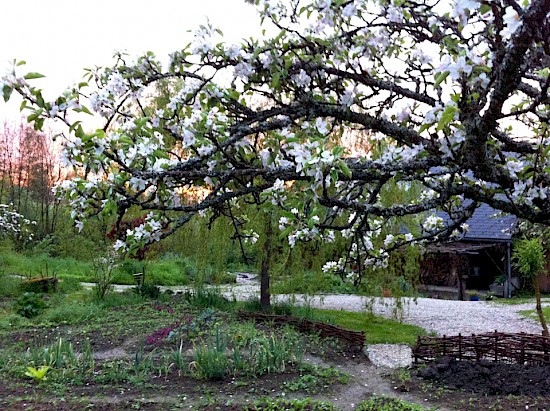 Grosser Garten