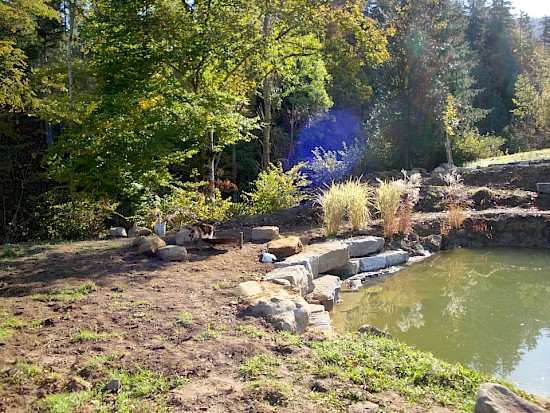Teich 3