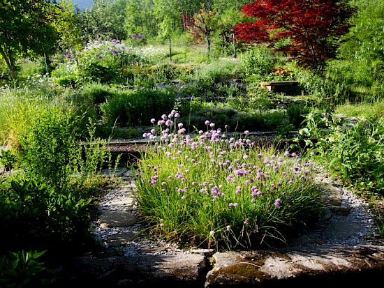 Kräutergarten