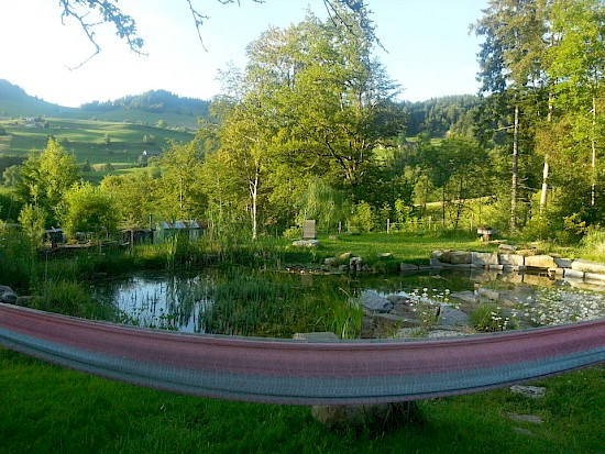 Plätze