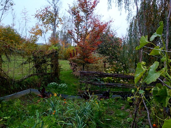 Herbst